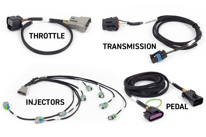 Haltech NEXUS Rebel LS Plug In ECU and Harness Kit