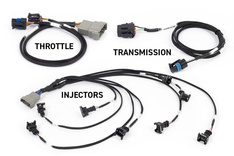Haltech NEXUS Rebel LS Plug In ECU and Harness Kit