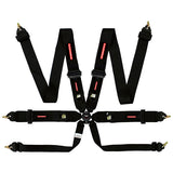 Raceworks FIA Approved 6 Point Cam Lock Harness w/3" Belts