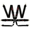 Raceworks FIA Approved 6 Point Cam Lock Harness w/3" Belts