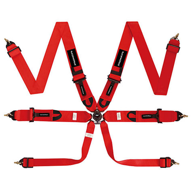 Raceworks FIA Approved 6 Point Cam Lock Harness w/3" Belts