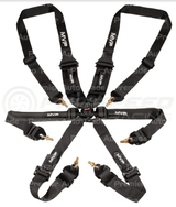 MVP By Raceworks 6 Point Cam Lock Harness w/HANS Compatible 2-3" Belts, Snap On Ends (FIA Approved)