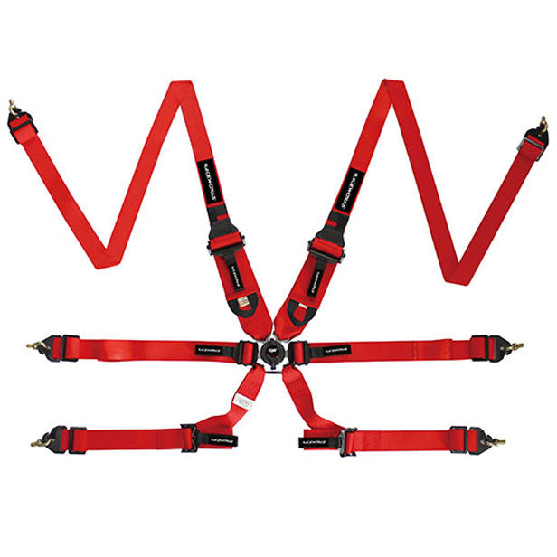 Raceworks FIA Approved 6 Point Cam Lock Harness w/HANS Compatible 2-3" Belts