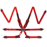 Raceworks FIA Approved 6 Point Cam Lock Harness w/HANS Compatible 2-3" Belts