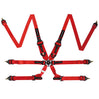 Raceworks FIA Approved 6 Point Cam Lock Harness w/HANS Compatible 2-3" Belts