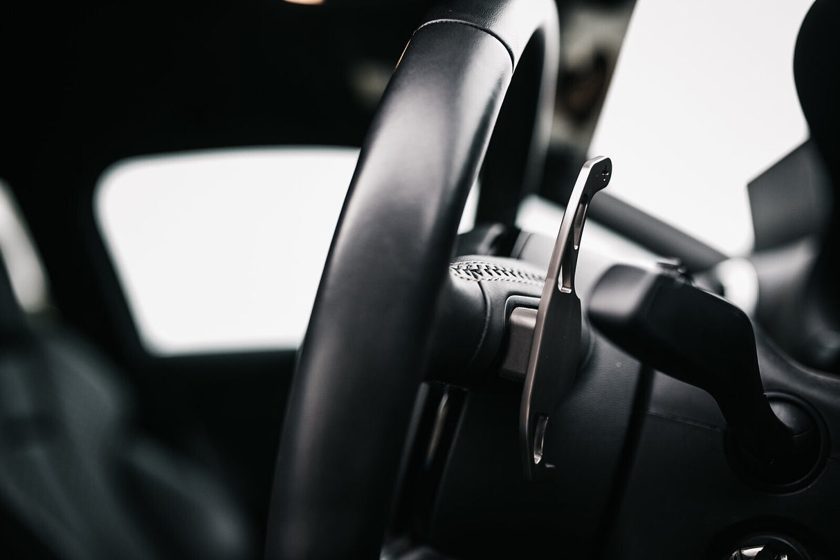 RacingLine VWR DSG Paddle Replacements SILVER