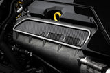 APR Carbon Fibre Intake Manifold Cover Plate