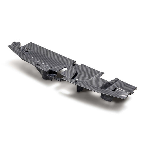 Seibon Dry Carbon Fibre Cooling Plate