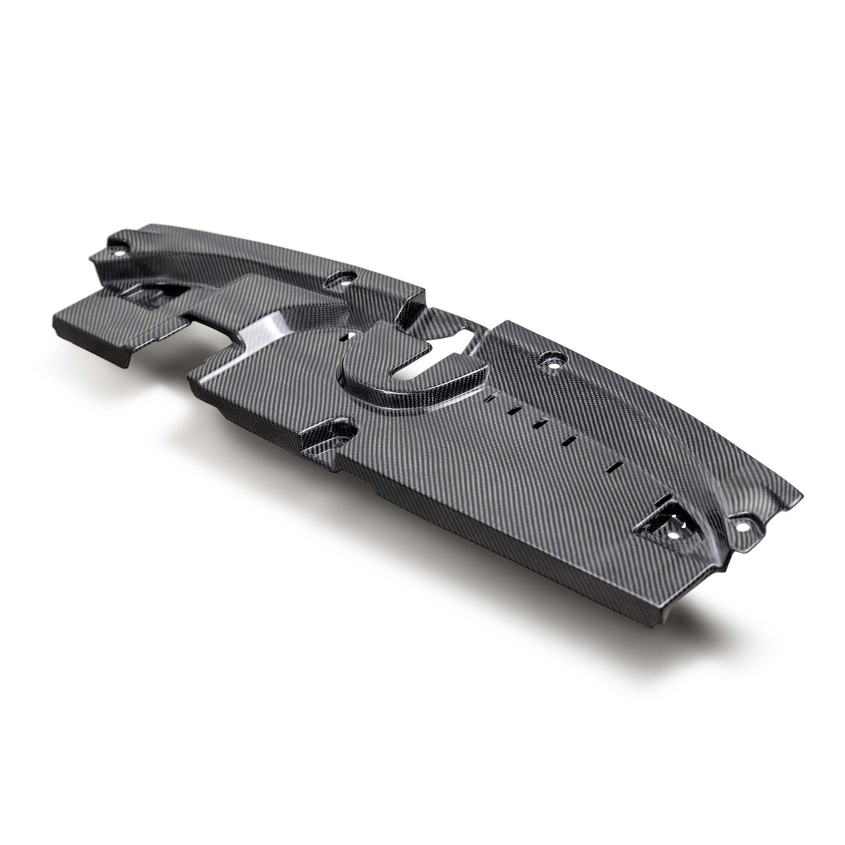 Seibon Dry Carbon Fibre Cooling Plate