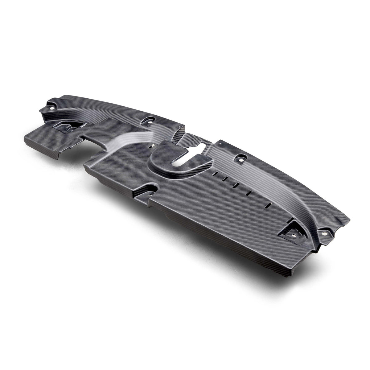 Seibon Dry Carbon Fibre Cooling Plate