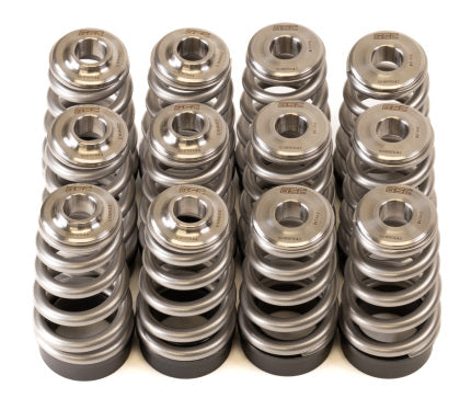GSC Conical Valve Spring w/ Ti Retainers & Seats