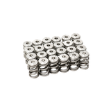 GSC Single Valve Spring & Ti Retainer Kit