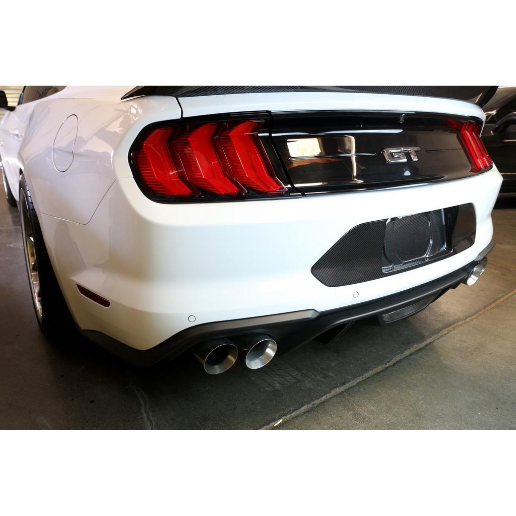 APR Performance Carbon Fibre License Plate Backing
