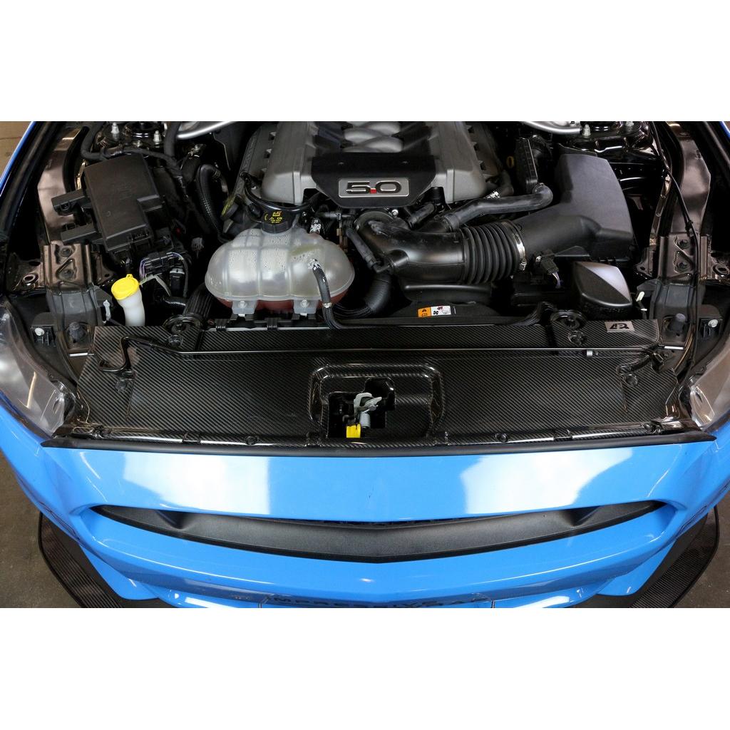APR Performance Carbon Fibre Radiator Cooling Plate