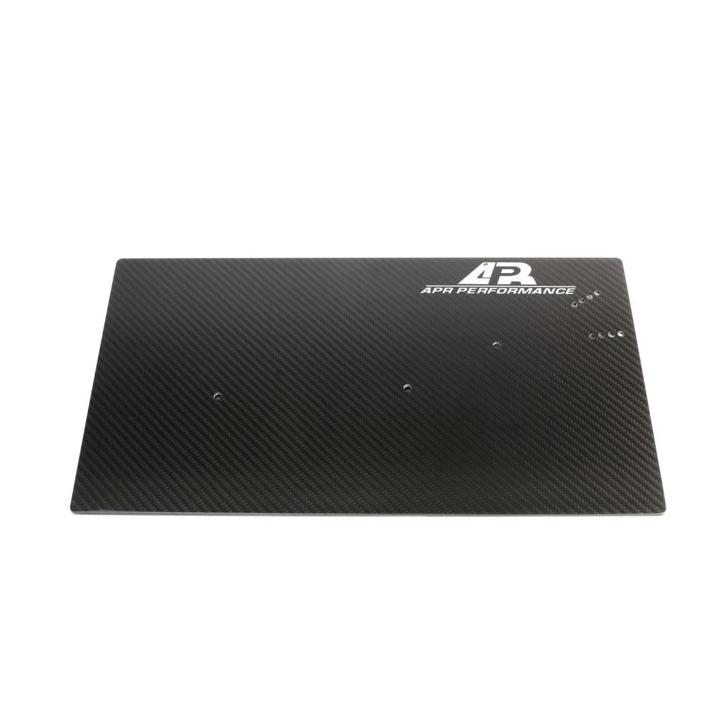 APR Carbon Fibre GT-1000 Side Plates AA-100077