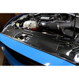 APR Performance Carbon Fibre Radiator Cooling Plate