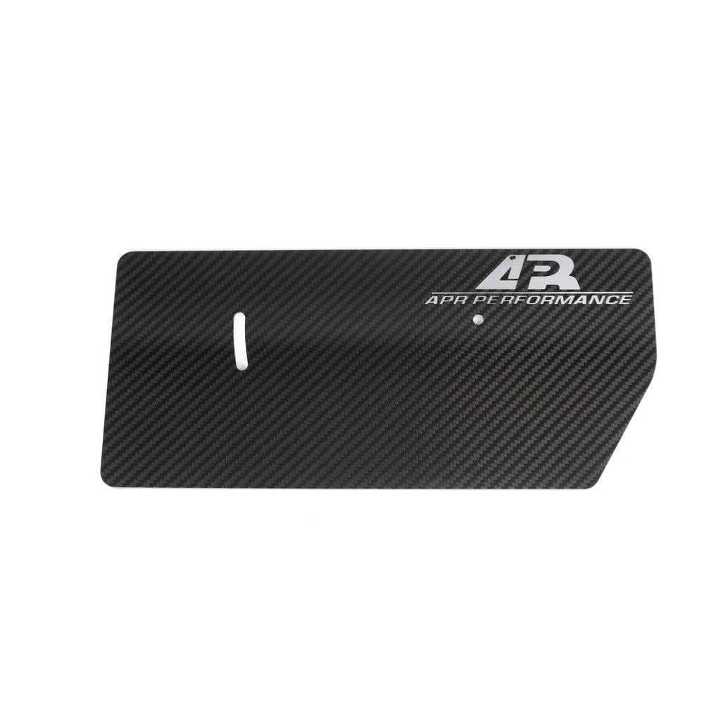 APR Carbon Fibre GT-250 Side Plates AA-100075