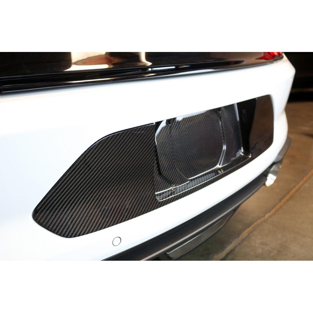 APR Performance Carbon Fibre License Plate Backing