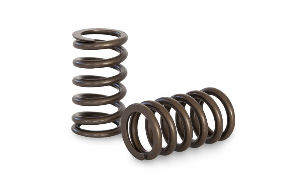 Kelford Valve Spring Kit