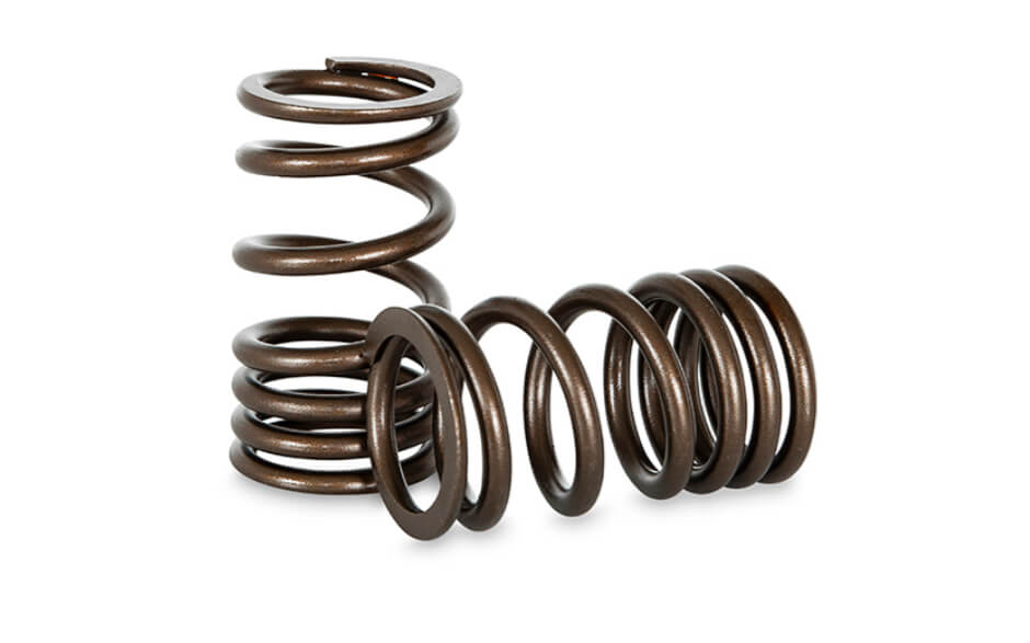 Kelford Valve Spring Kit