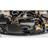 APR Performance Carbon Fibre Radiator Cooling Plate and Intake Enhancement Kit