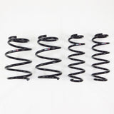 RS-R Down Sus Lowering Springs